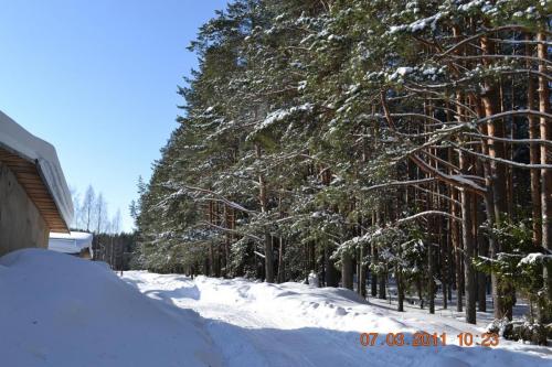 Зима на Городомле