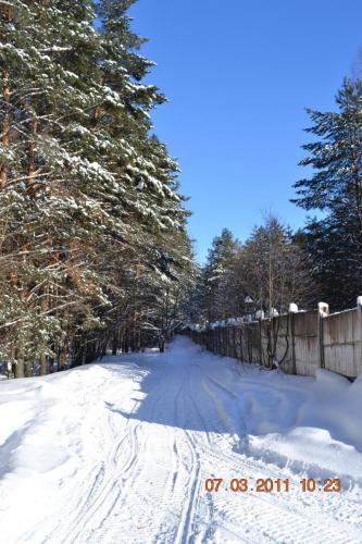 Зимний лес на Городомле